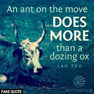 Fake Lao Tzu quote: An ant on the move does more than a dozing ox.