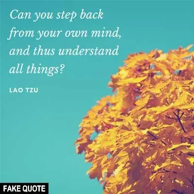 Fake Lao Tzu quote: Can you step back from your own mind and thus understand all things?