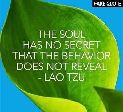 Fake Lao Tzu quote: The soul has no secret...