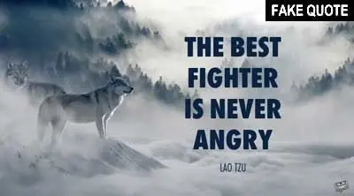 Fake Lao Tzu quote: The best fighter is never angry.